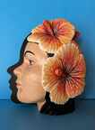 Hibiscus Fascination
