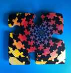 Puzzle Piece
