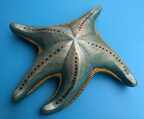 Starfish 2